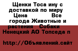 Щенки Тоса-ину с доставкой по миру › Цена ­ 68 000 - Все города Животные и растения » Собаки   . Ненецкий АО,Топседа п.